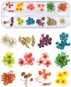 Dried Mixed Flowers